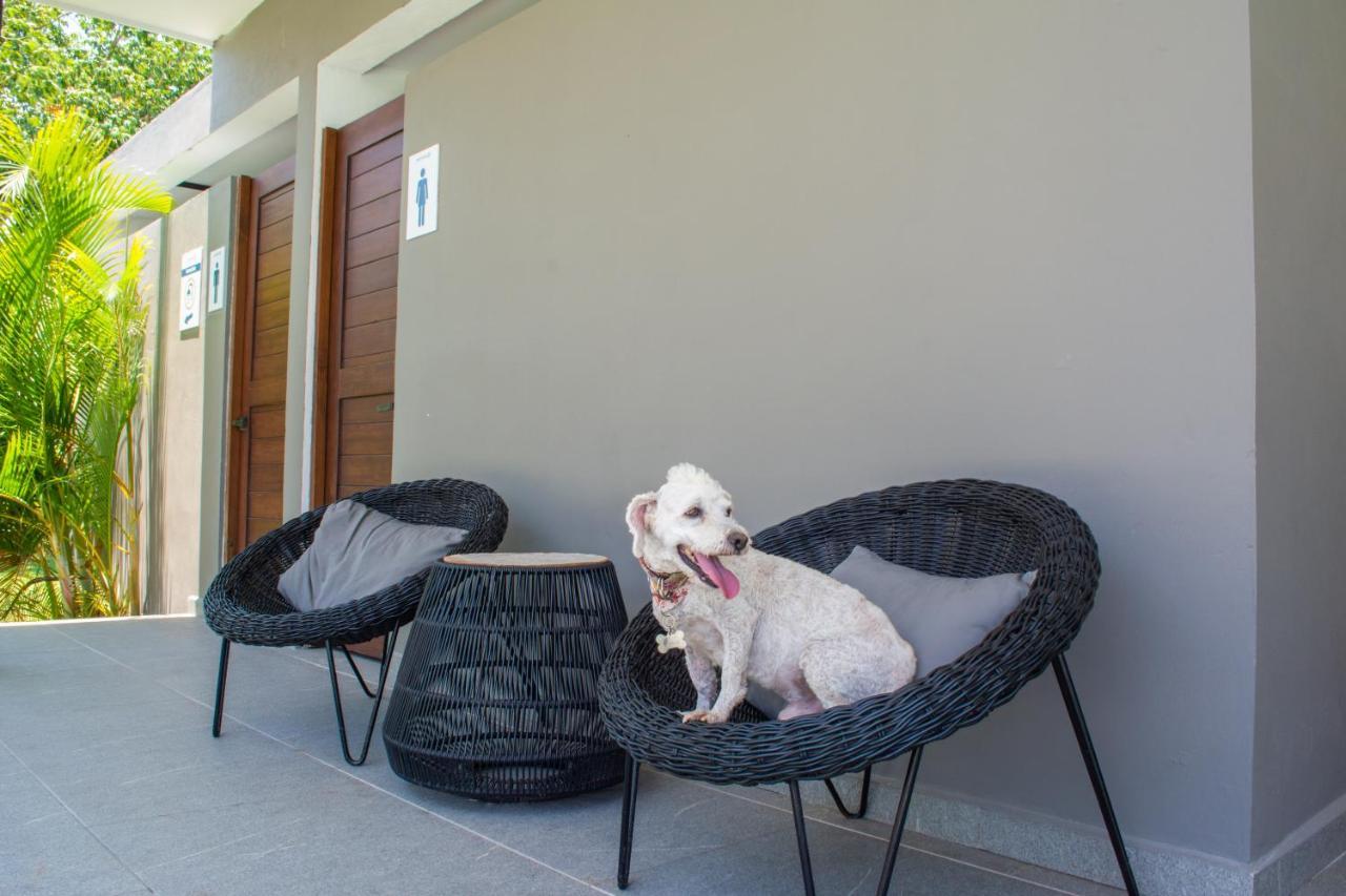 Paraiso Playa Bonita- Roof Top Playa del Carmen Ngoại thất bức ảnh